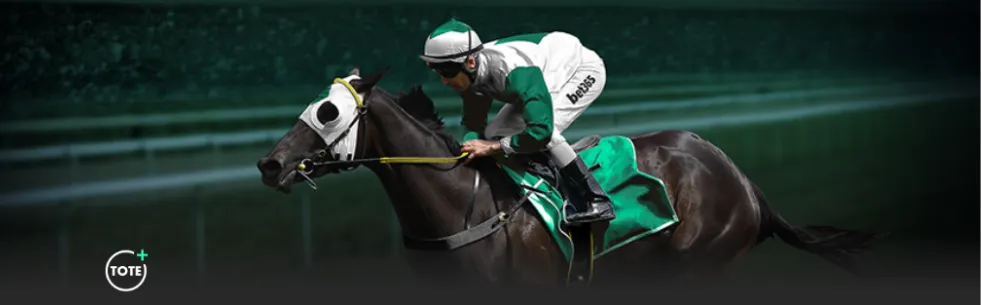 布兰特未来,走向未决,夏季将公布,完美体育app下载,完美体育官网,完美体育官方网站,完美体育平台