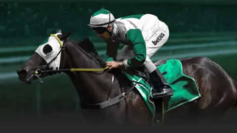 布兰特未来走向未决，夏季将公布抉择计划