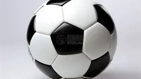 [璀璨之夜]大连聋协球迷团：薪火相传